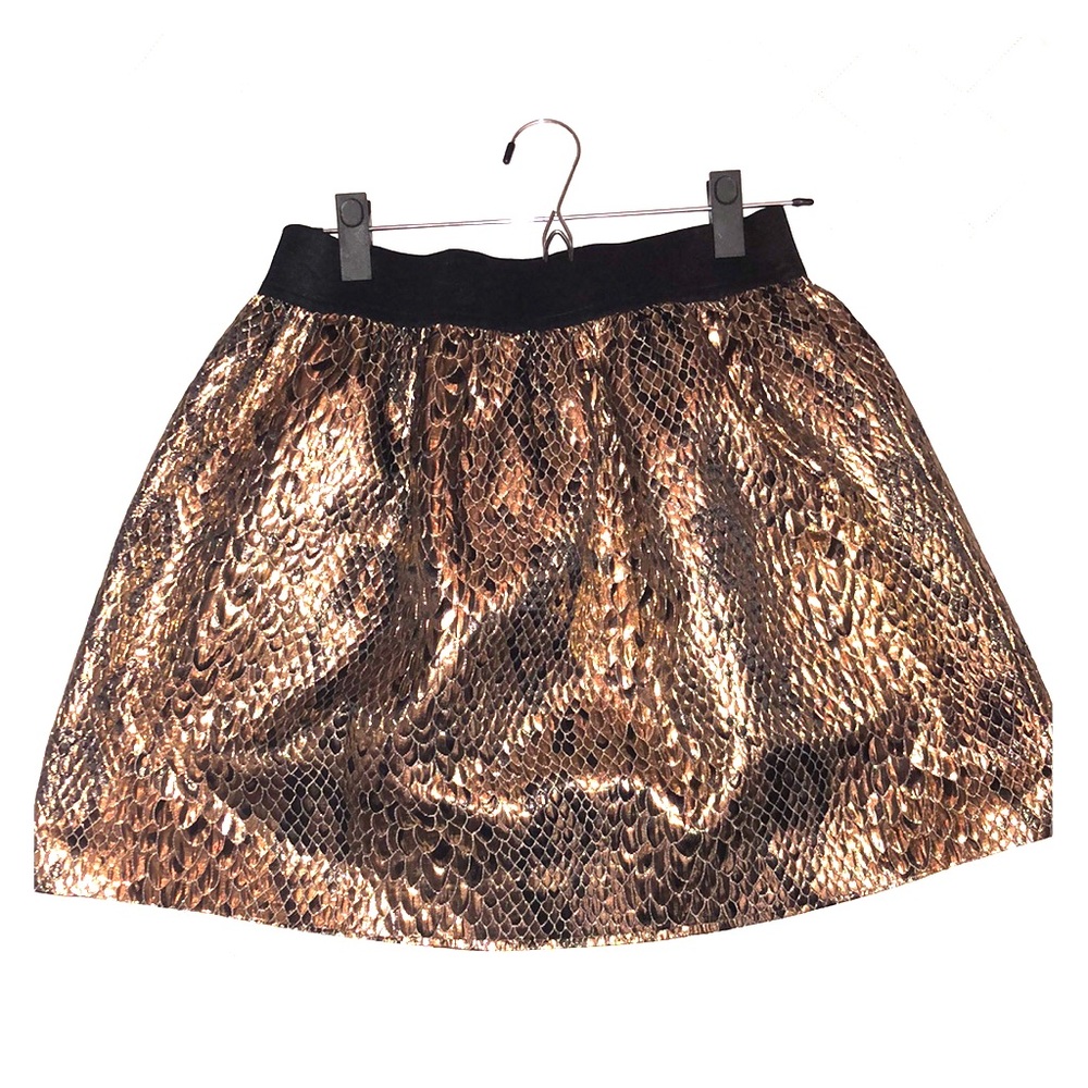 Flare Skirt